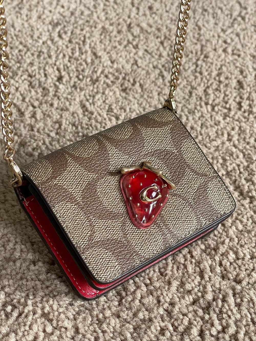 Coach Strawberry Mini Crossbody Wallet Bag Signature Red Strawberry EUC - Picture 16 of 16